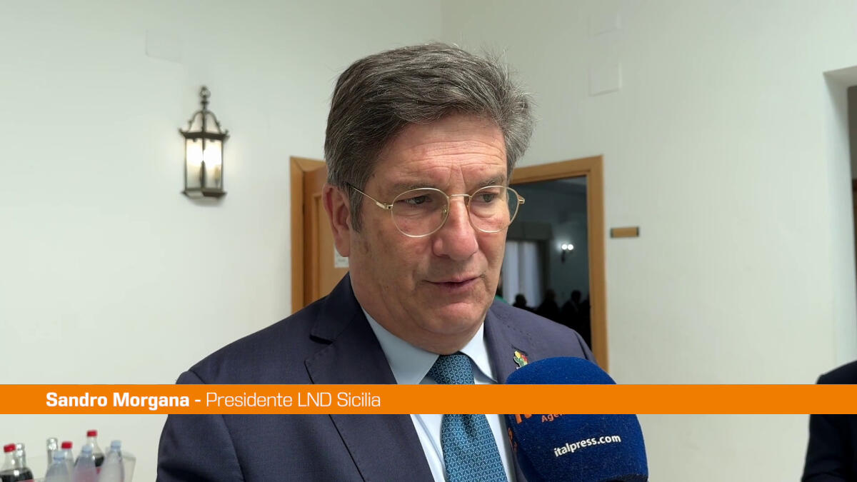 Torneo delle Regioni, Morgana "Nostro impegno anche sociale" -
