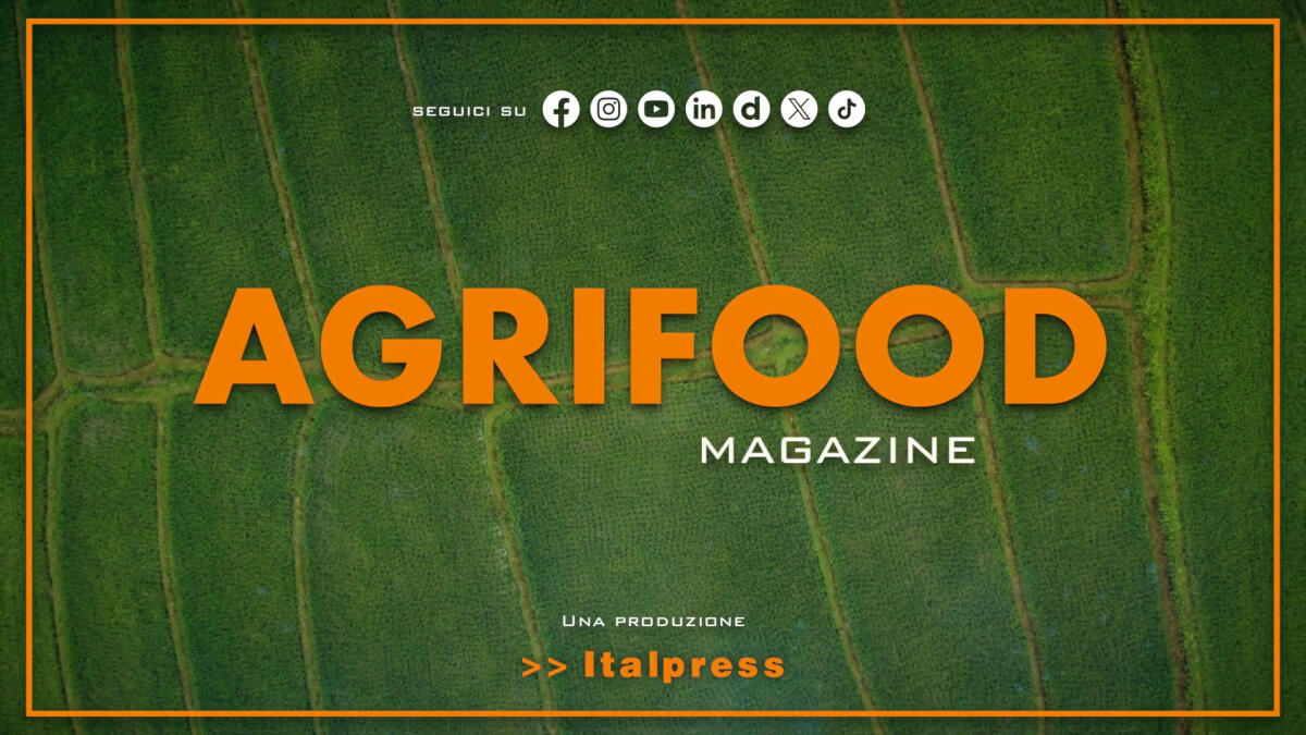 Agrifood Magazine - 2/4/2025 -