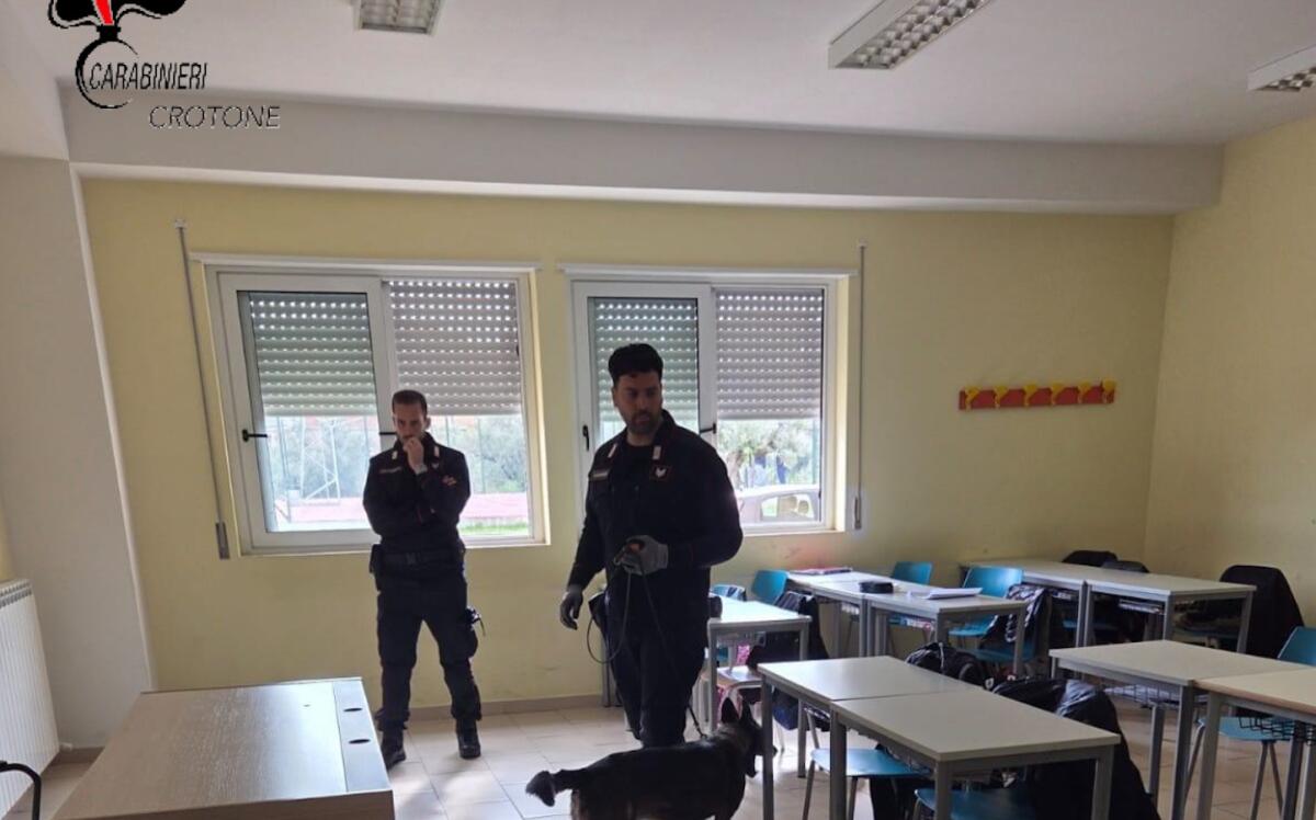 Petilia Policastro - Droga nei bagni della scuola - 