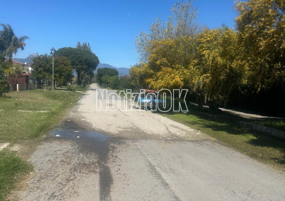 Marina di Sibari: avviati i lavori di manutenzione del verde pubblico - 