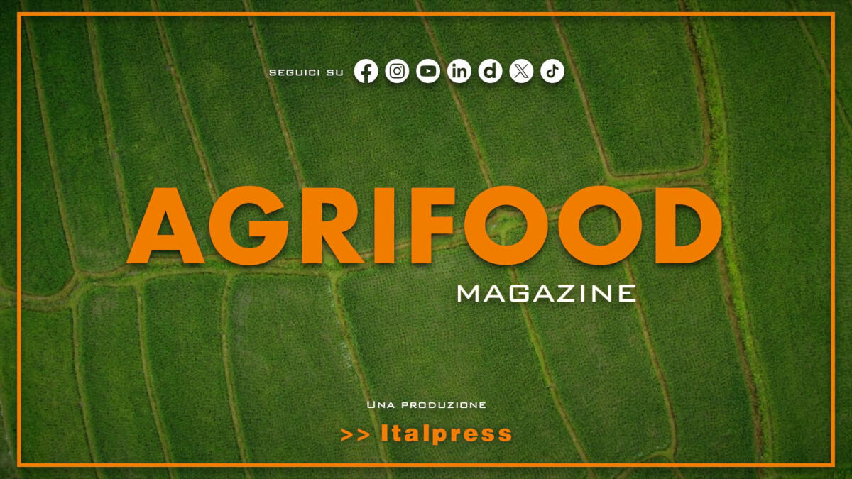 Agrifood Magazine - 9/4/2025 -