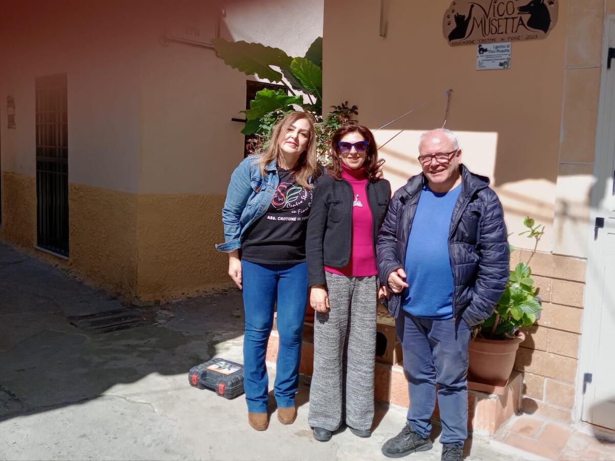 Gatti, arte e cuore: la nuova bellezza di Vico Musetta grazie a un dono speciale - 