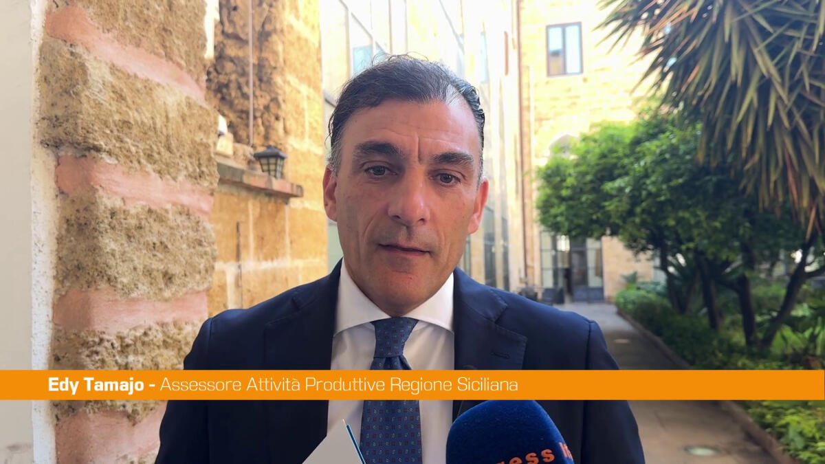 Tamajo "Momento positivo per la Sicilia, crescono Pil e imprese" - 