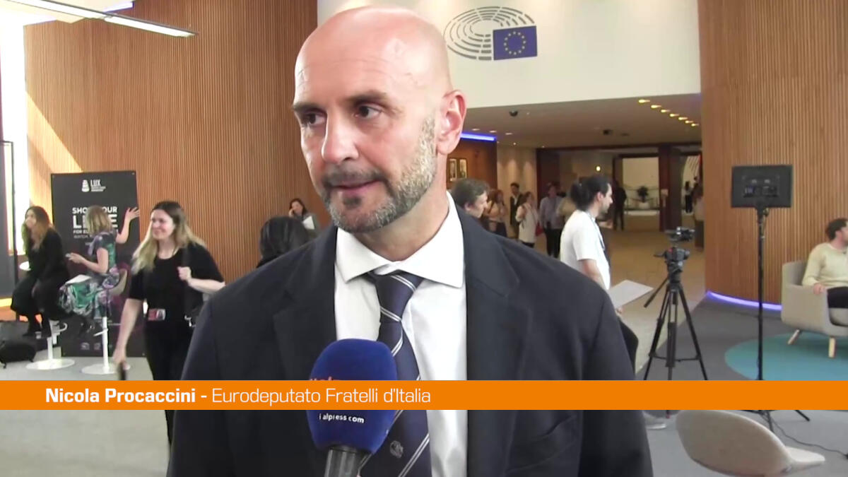 Ucraina, Procaccini "Incontro Trump-Zelensky positivo" - 