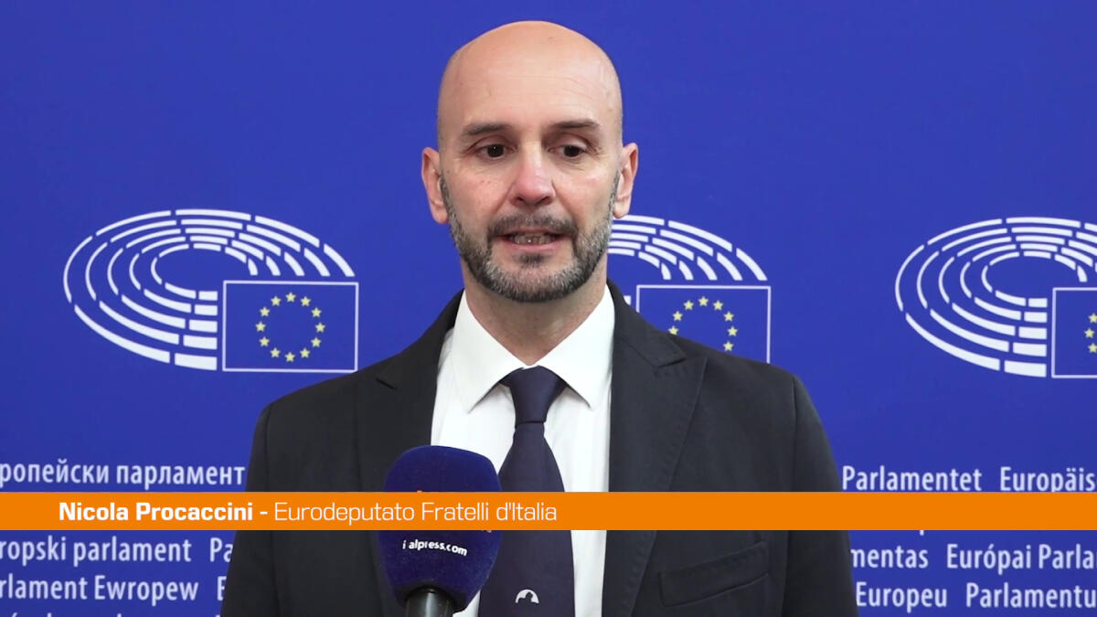 Ue, Procaccini "Per la difesa replicare il modello Invest-Eu" -