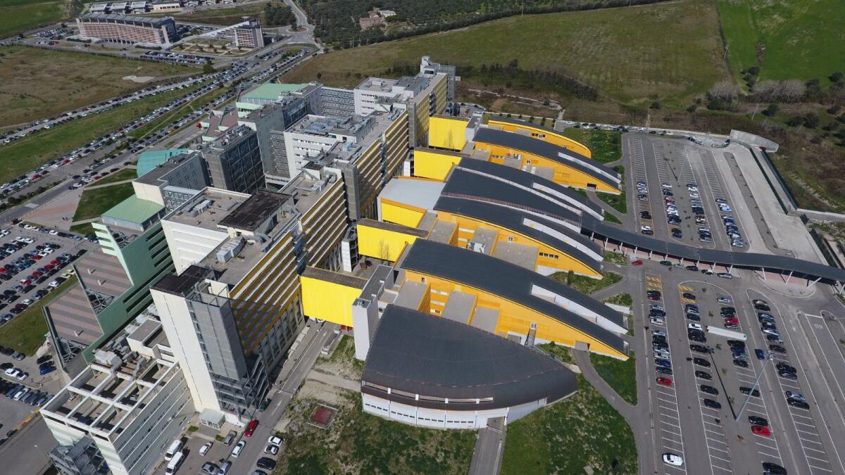 Scoperto il meccanismo che collega Diabete e Alzheimer, coinvolta nello studio l'Università di Catanzaro - 