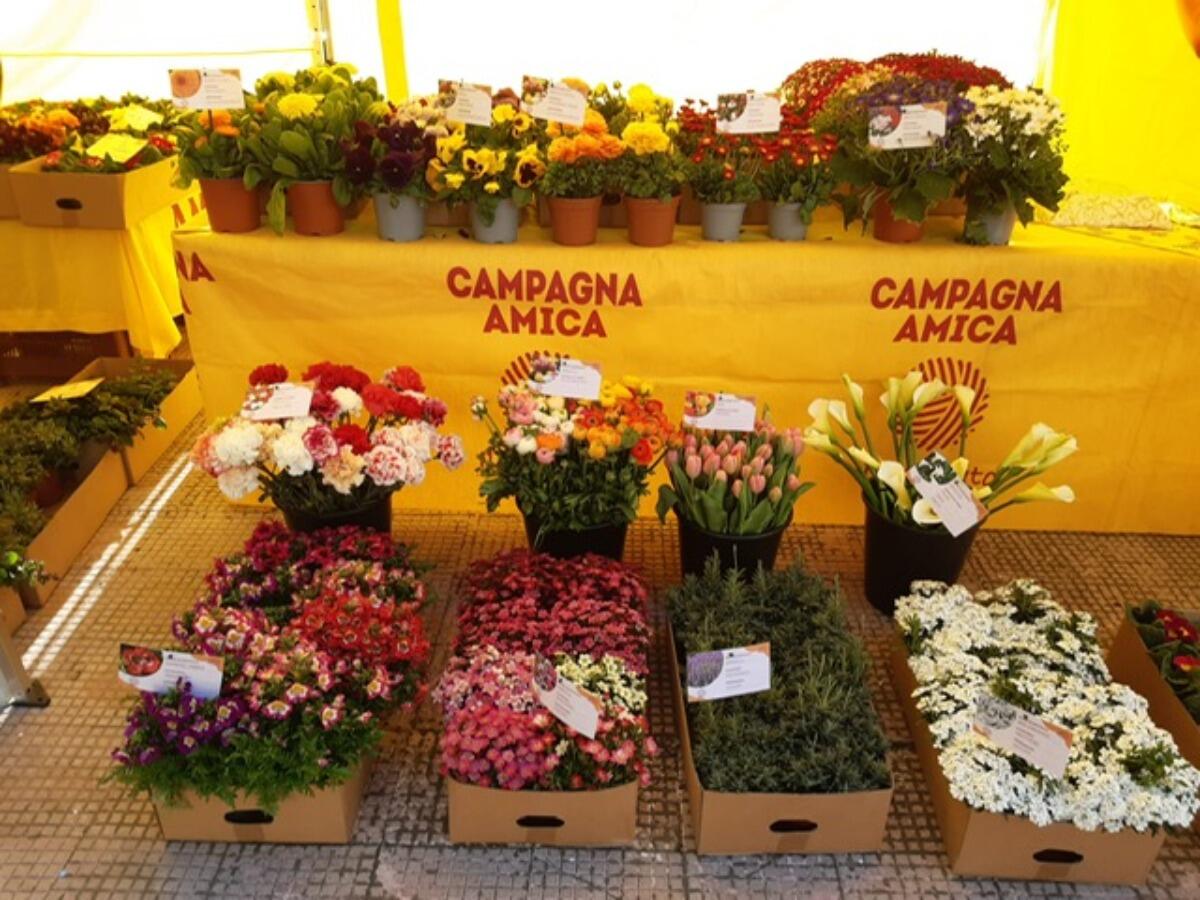 Coldiretti Calabria: Santa Pasqua i fiori impreziosiscono le case degli italiani - 