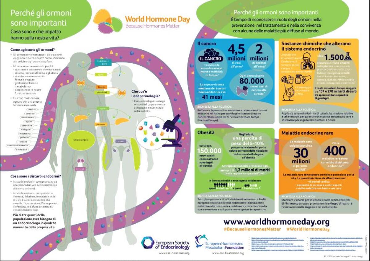 World Hormone Day, AME accende i riflettori sugli interferenti endocrini - 