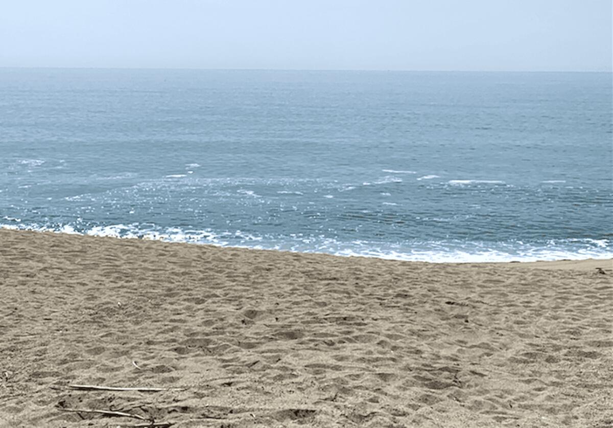 A Cirò Marina gli eventi per la Settimana Verde di Ambiente Mare Italia - 