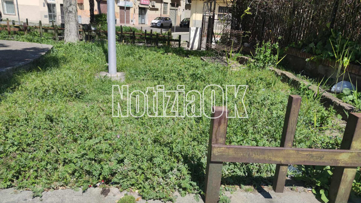 Nei quartieri di Crotone - Corso Mazzini, uno spazio verde senza una sua identità - 