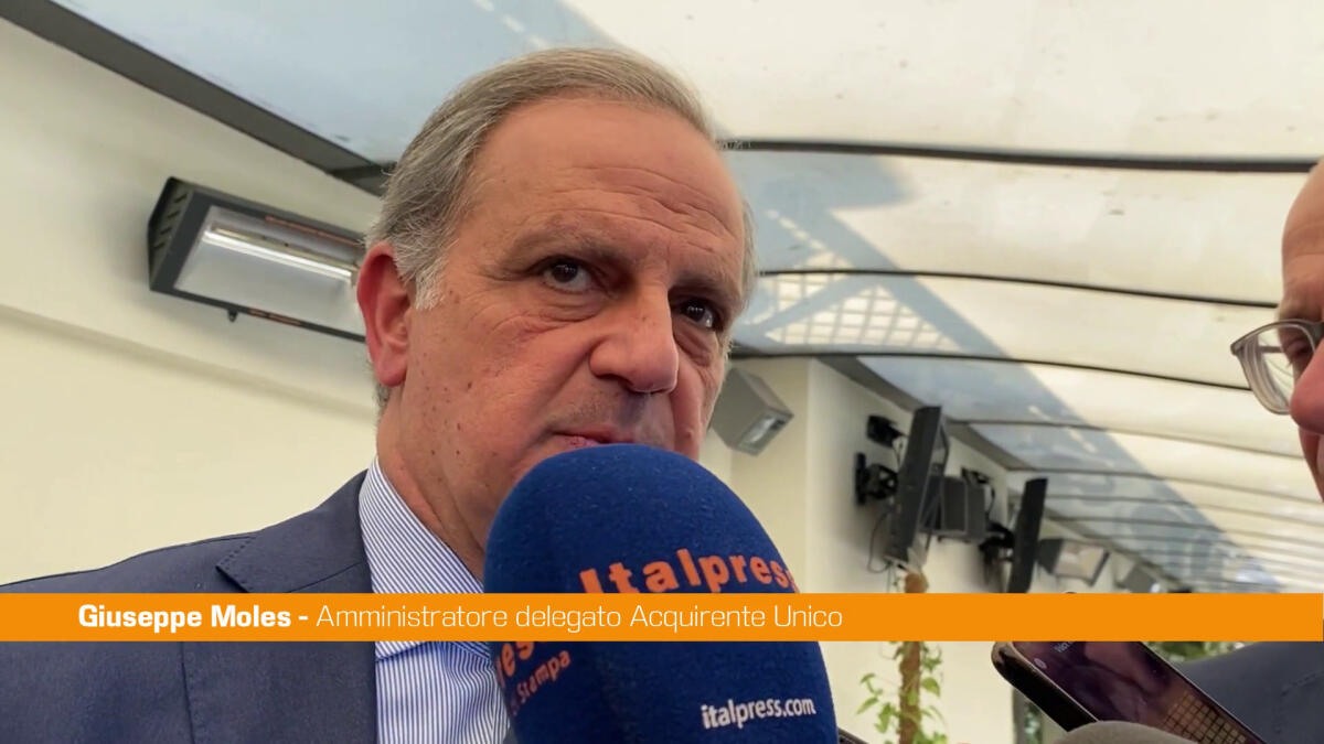 Moles "Bene sperimentazione idrobiometano, ora servono infrastrutture" -