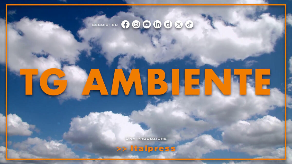 Tg Ambiente - 6/4/2025 -