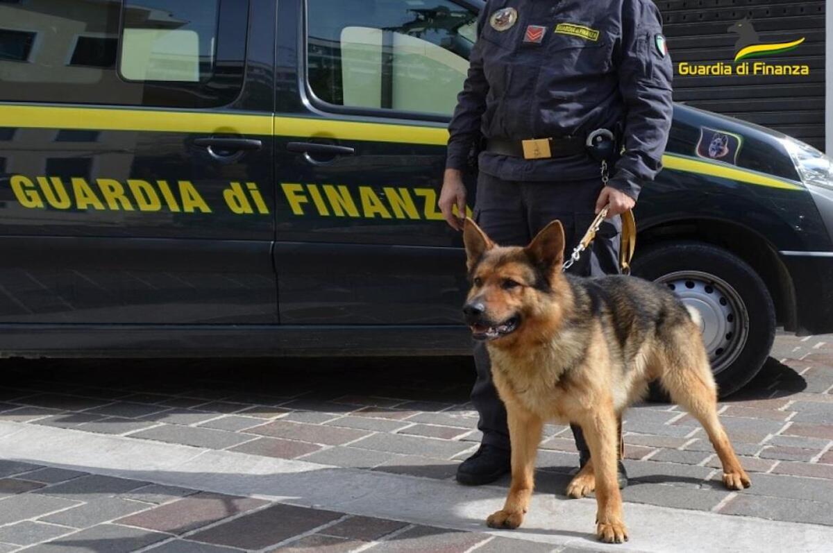 Cosenza - Arrestato giovane corriere della droga, trasportava più di 1 kg di cocaina - 