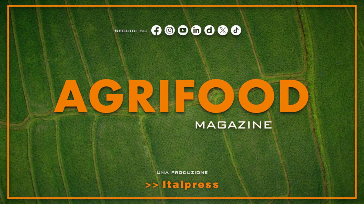 Agrifood Magazine - 30/4/2025 - 