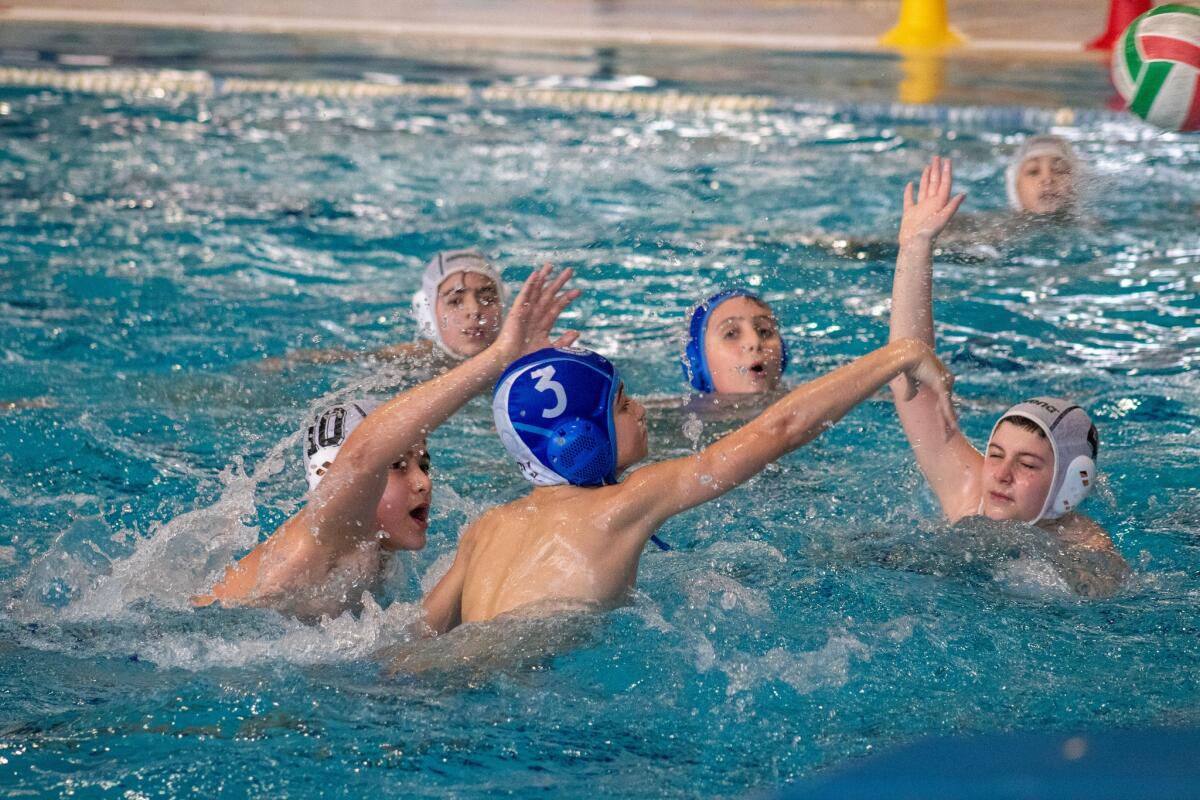 Pallanuoto - Weekend ricco di emozioni per la Rari Nantes Auditore - 