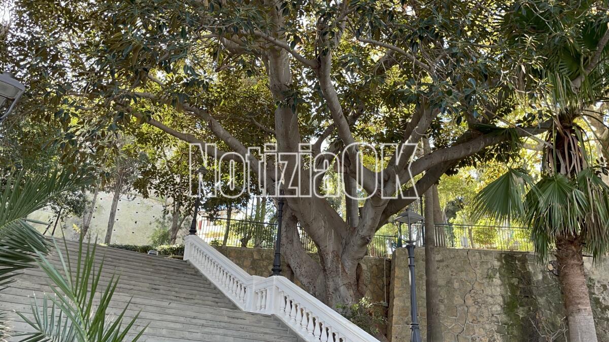 Crotone - Una due giorni dedicata agli amici a quattro zampe con l'Oasi Rifugio - 