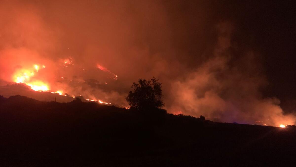 Tecnologia e prevenzione, così la Calabria contrasta gli incendi boschivi - 