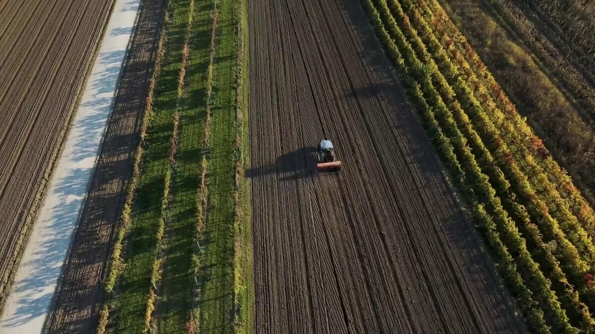 Agroalimentare sempre più attrattivo per i giovani - 