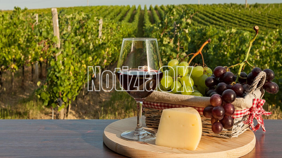 Il cammino sulle colline del Cirò: un’avventura tra natura, storia e vini -