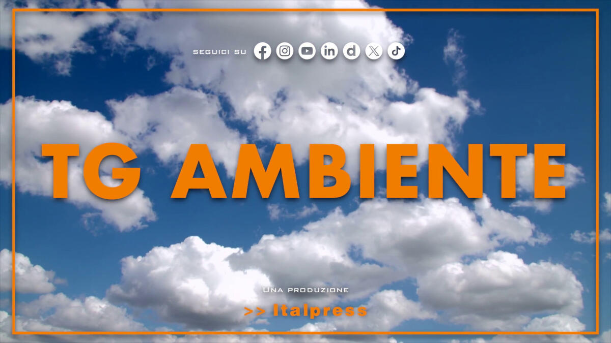 Tg Ambiente - 11/5/2025 -
