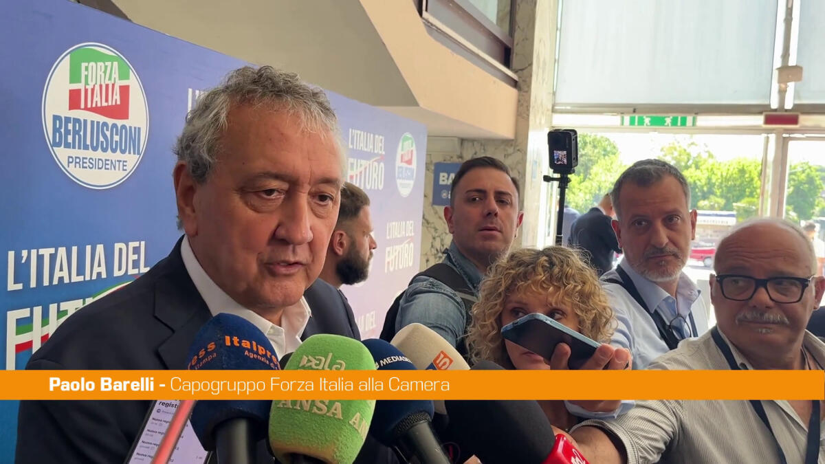 Forza Italia Giovani, Barelli "Partito aperto al confronto" -