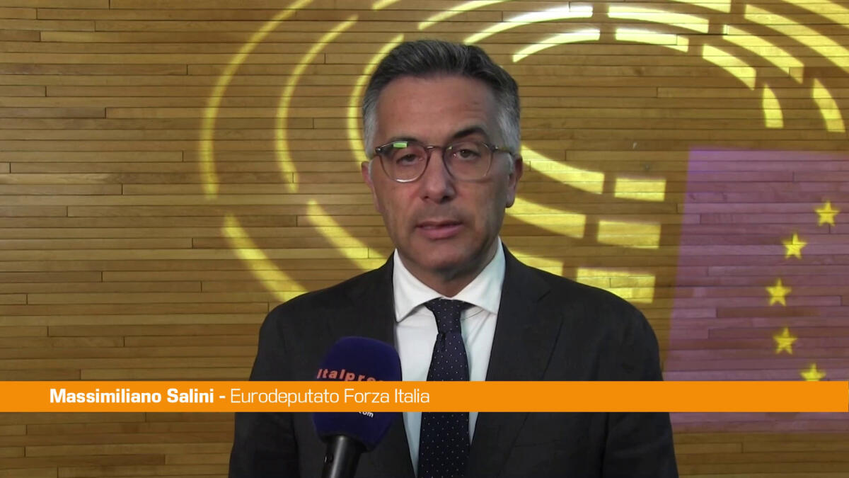 Automotive, Salini "Rinvio multe Ue giusto, ma ancora non basta" -