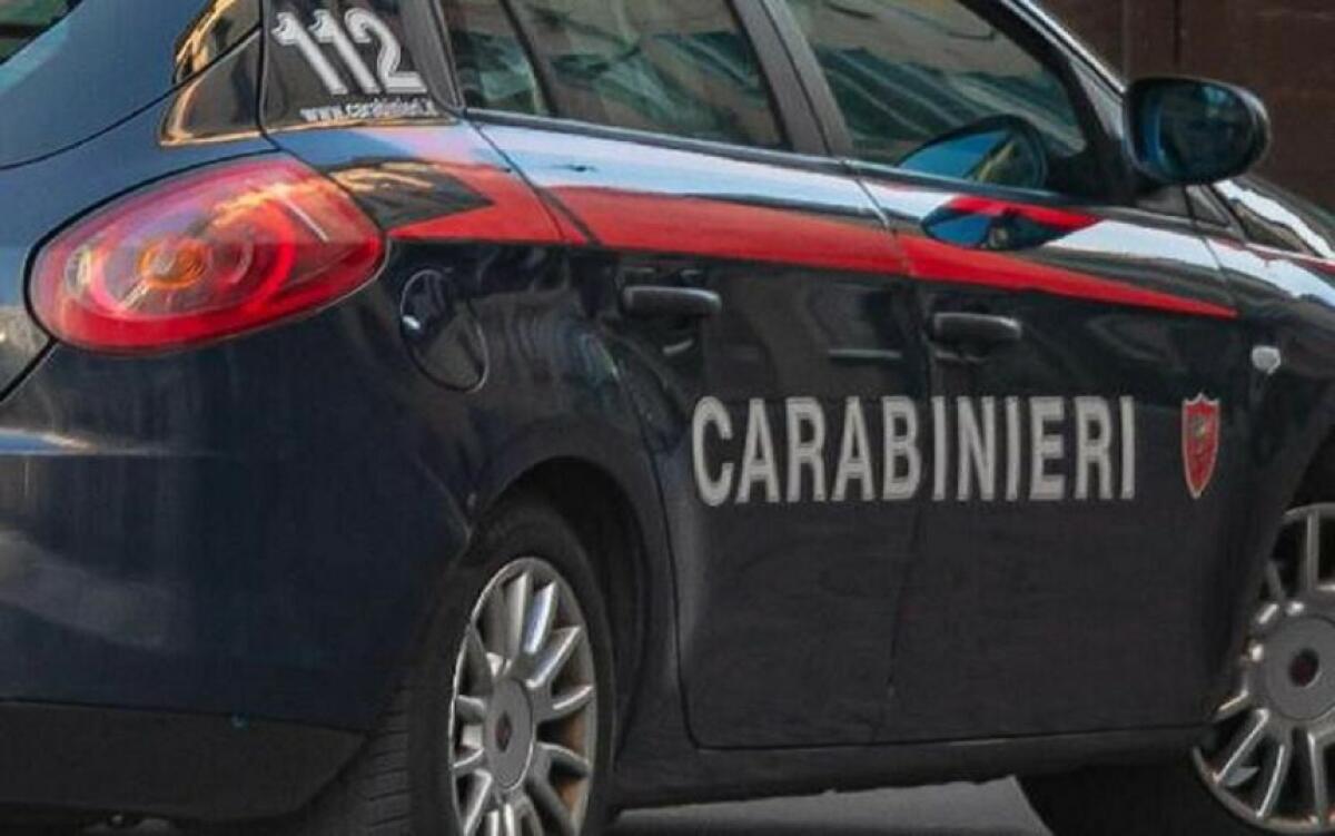 Due cani maltrattati in un cantiere a Petilia Policastro: denunciato il proprietario - 