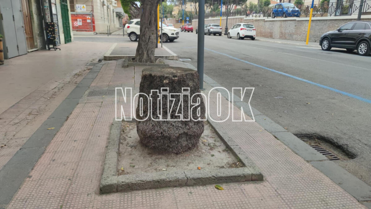 Nei Quartieri di Crotone - Tavolini naturalistici lungo via Nuova Poggioreale - 