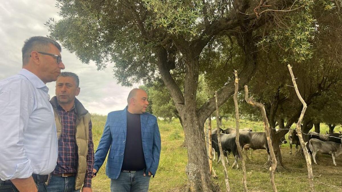 Umbriatico - Gli allevatori incontrano il commissario nazionale D’Alterio - 