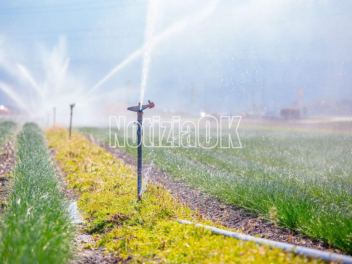 Accordo raggiunto sulla tariffa unica dell’acqua: svolta per l’irrigazione agricola in Calabria - 