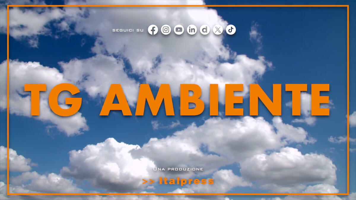 Tg Ambiente - 25/5/2025 - 
