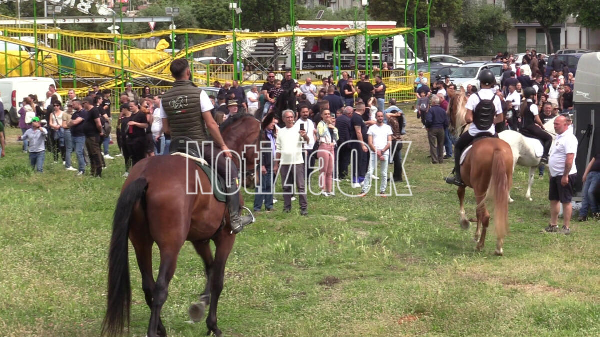 (VIDEO) Dove corre la tradizione: Crotone celebra la Fiera del Capo - 