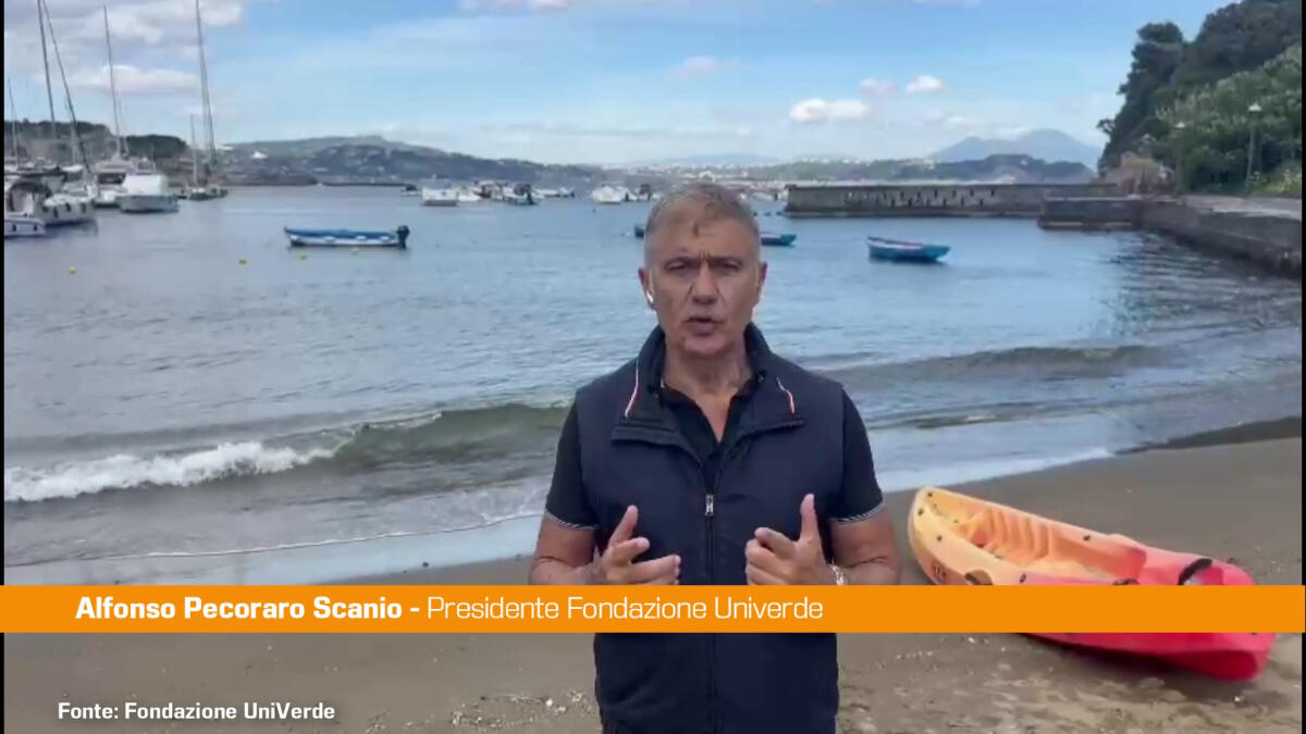 Pecoraro Scanio a difesa del mare “Tutela per un Mediterraneo pulito" - 