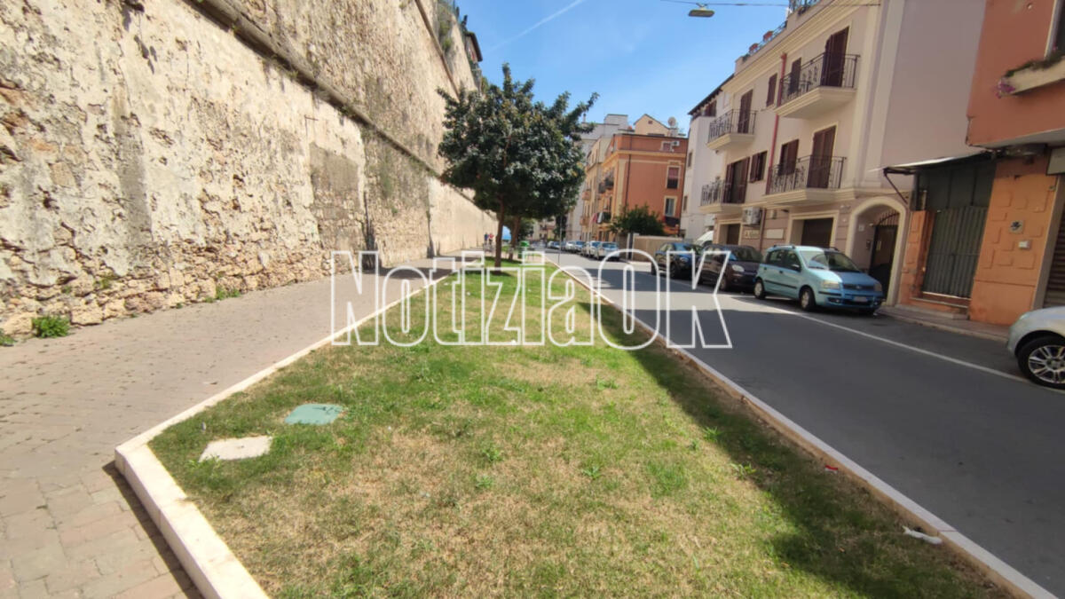Nei Quartieri di Crotone - Via Tellini, l'abero che c'era e che ora non esiste più - 