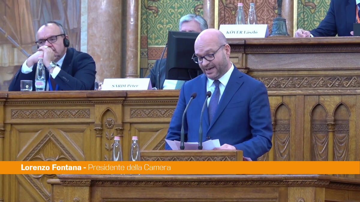 Ue, Fontana "Più partecipazione dei Parlamenti a processo decisionale" - 