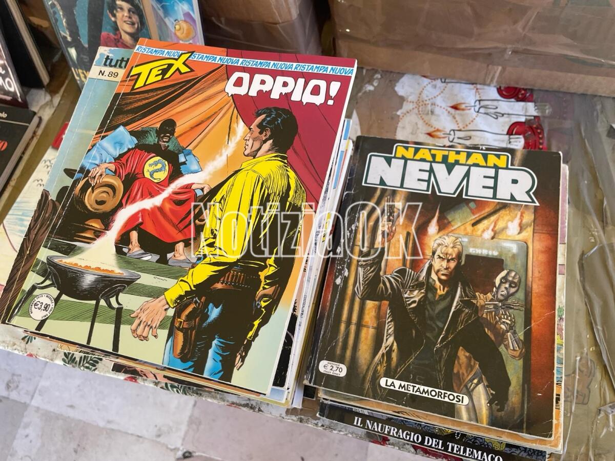 Fumetti, vinili e curiosità: il Mercato dell’Usato torna in città -