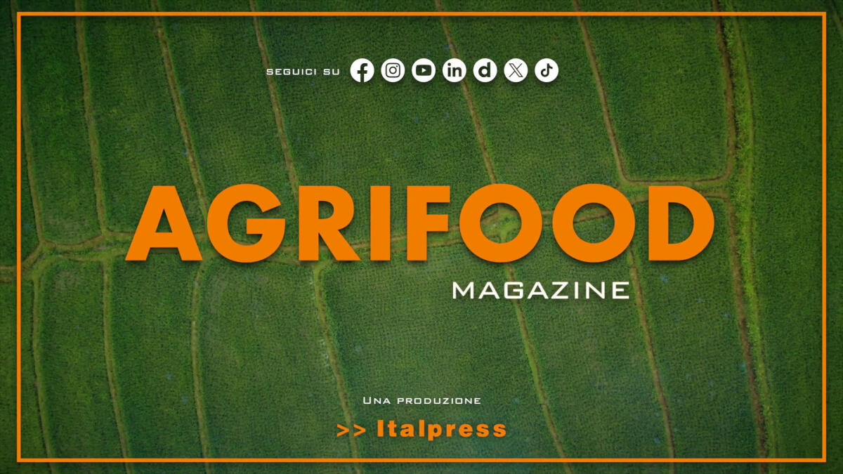 Agrifood Magazine - 7/5/2025 -