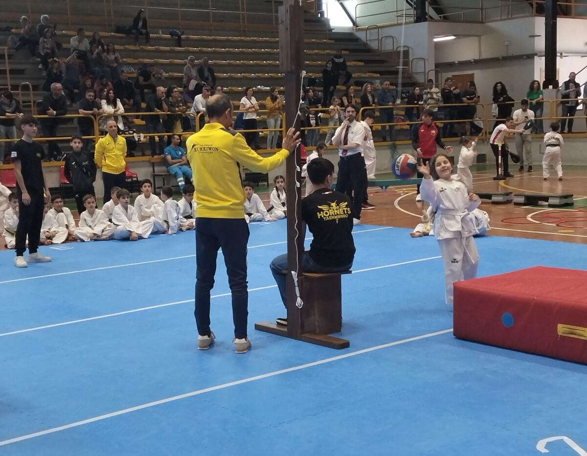 Nel Palagallo di Catanzaro due manifestazioni di Taekwondo del Comitato Regionale Fita Calabria - 