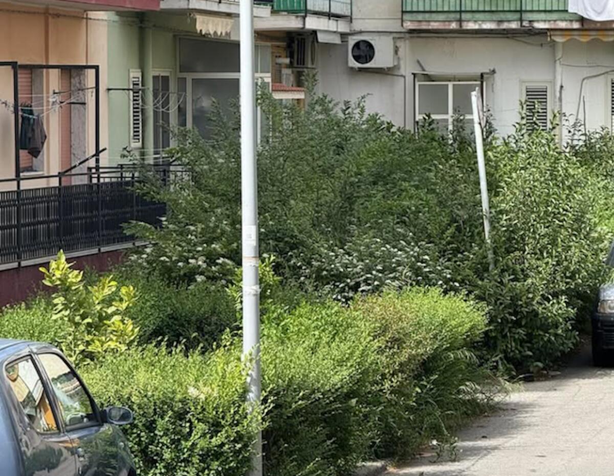 (Foto) Nei Quartieri di Crotone - Via Borgata San Francesco necessità di attenzioni ed interventi - 