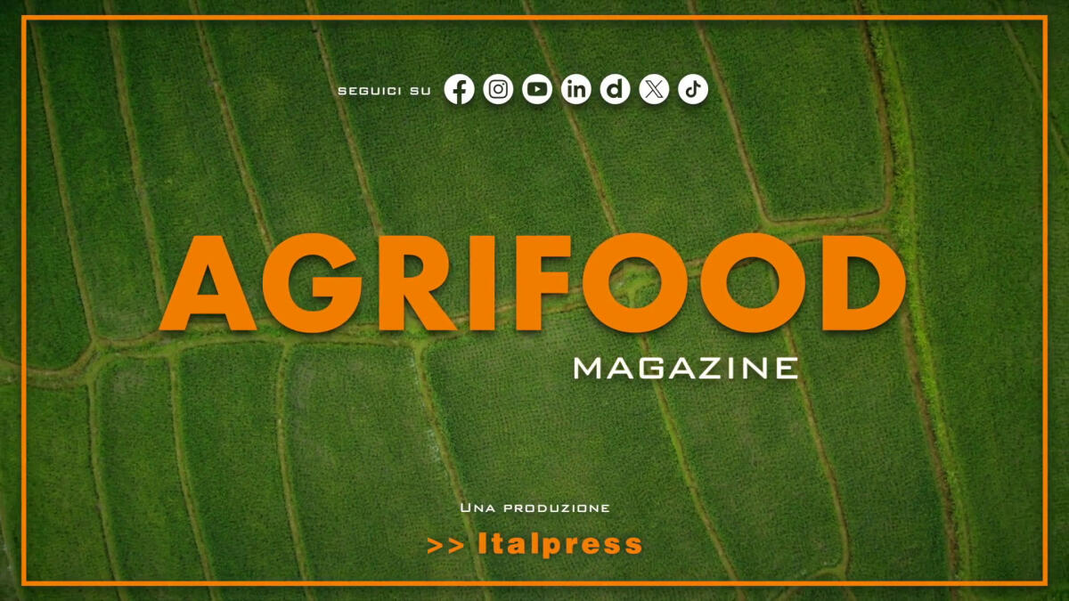 Agrifood Magazine - 14/5/2025 - 