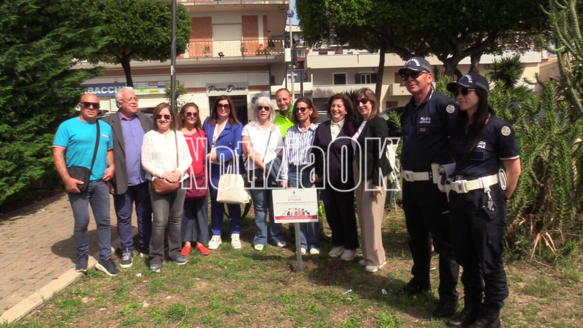 (VIDEO) A Crotone i primi cartelli per le colonie feline: un passo avanti per la tutela dei gatti randagi - 