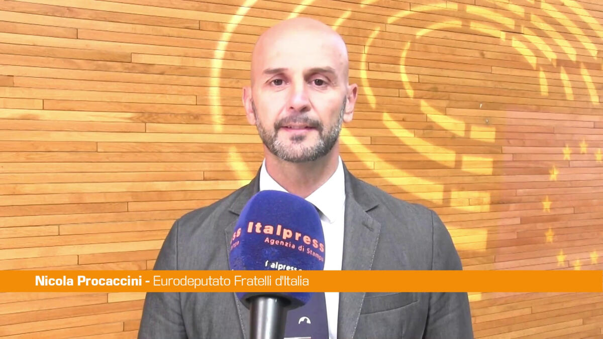 Ue, Procaccini "Dilazione regole automotive sia più lunga possibile" -