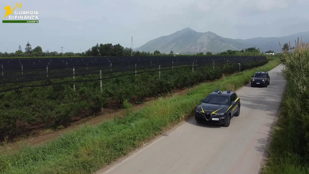 Frodi finanziamenti UE, a Caserta 12 arresti e sequestri per 9,5 mln - 