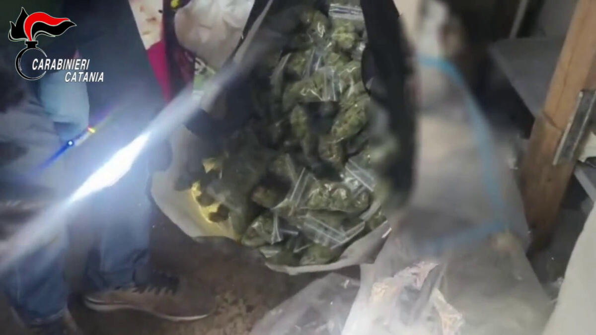 Scoperto un deposito di droga in un garage a Catania, un arresto - 