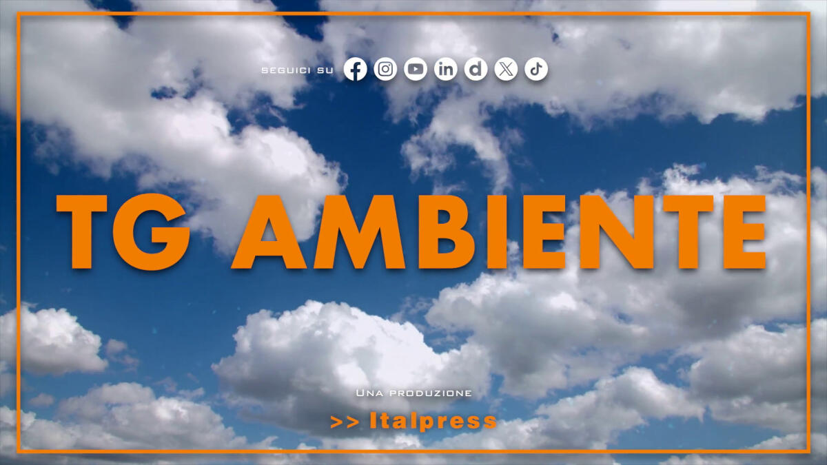 Tg Ambiente - 29/6/2025 - 