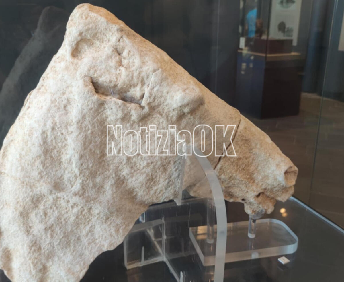 Museo Archeologico di Capo Colonna: tra i tesori una preziosa testa di cavallo che affascina i visitatori - 