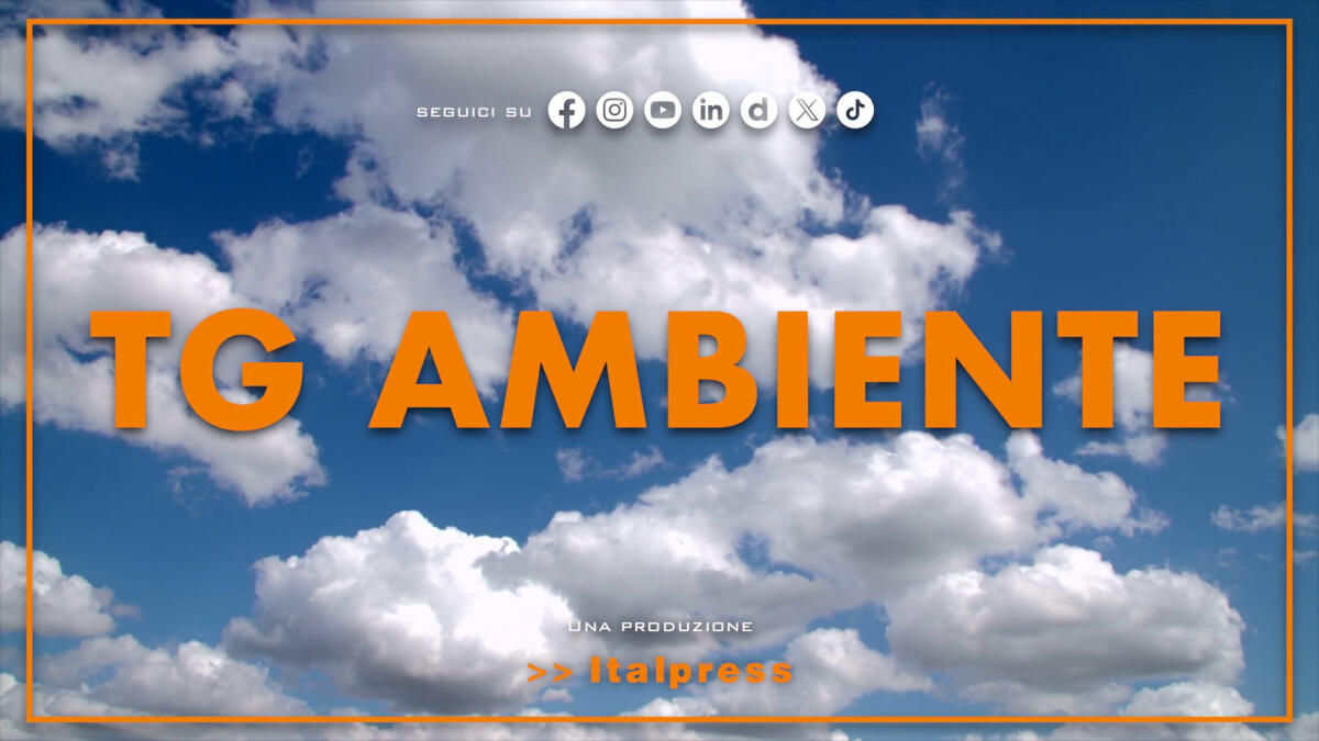 Tg Ambiente - 1/6/2025 - 