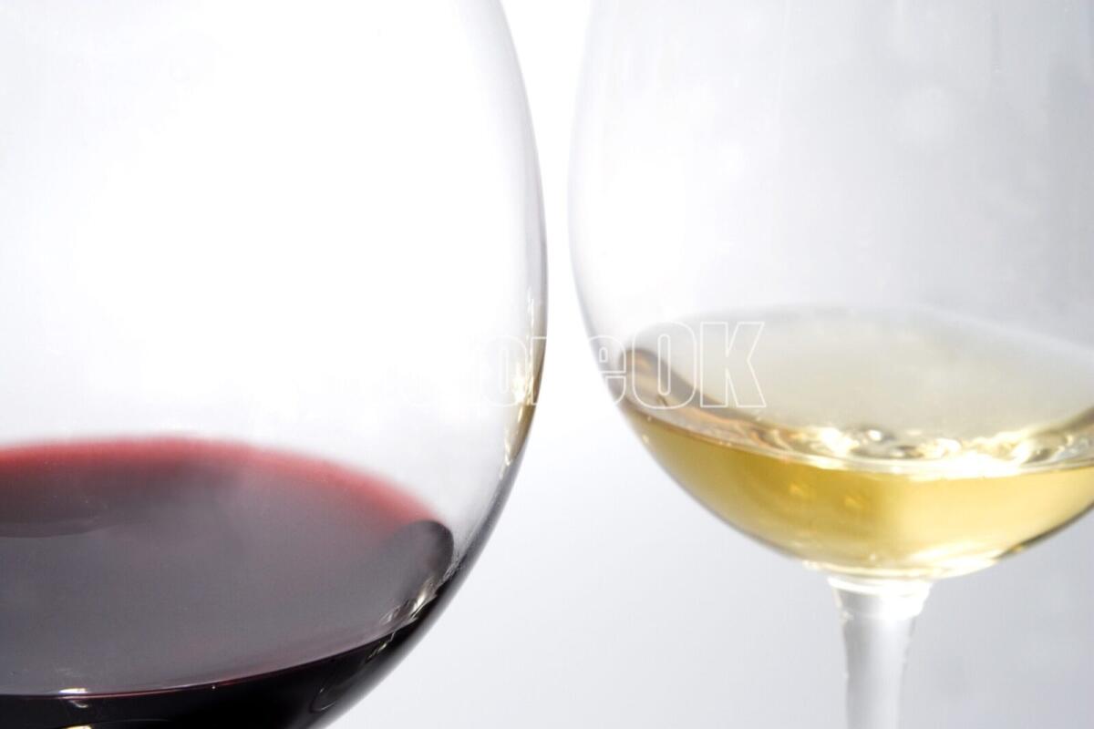 Vaccarizzo - Tutto pronto per il Concorso Vini Arbereshe, un brindisi tra tradizione e identità -