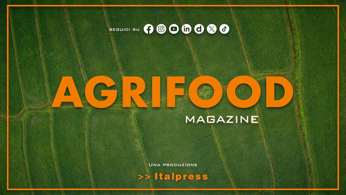 Agrifood Magazine - 25/6/2025 - 