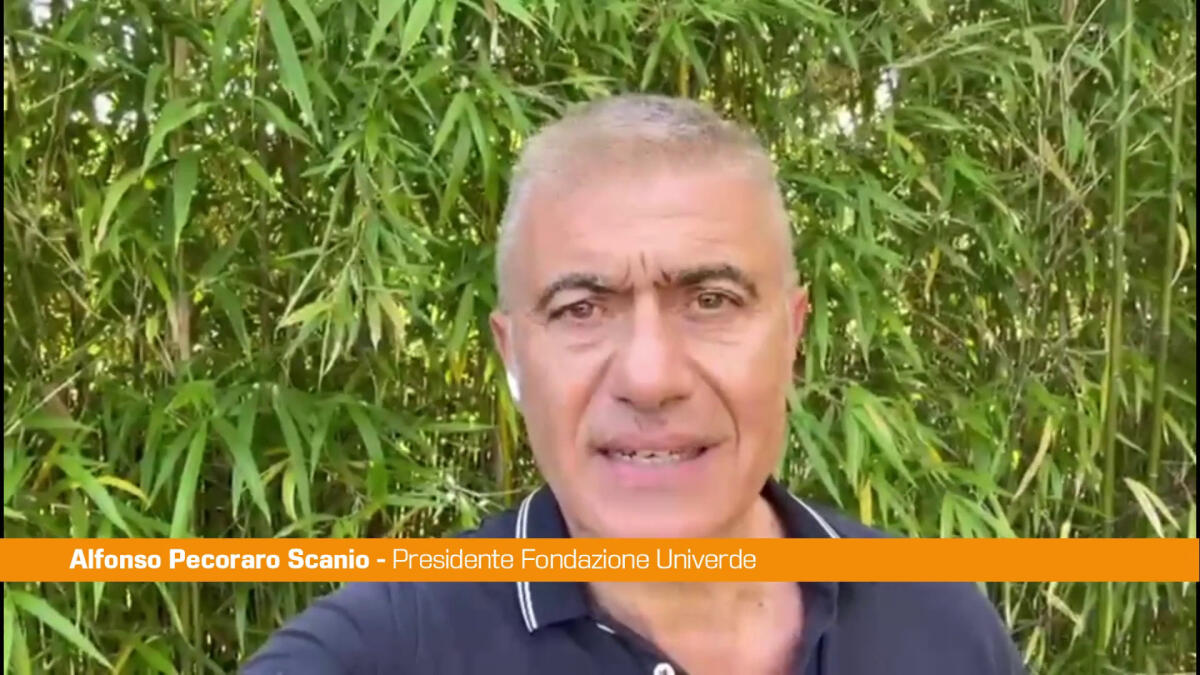 Pecoraro Scanio "Il futuro dell'agricoltura è in mano ai giovani" - 